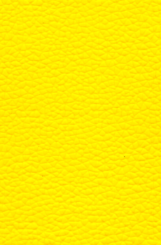 Amarelo Neon